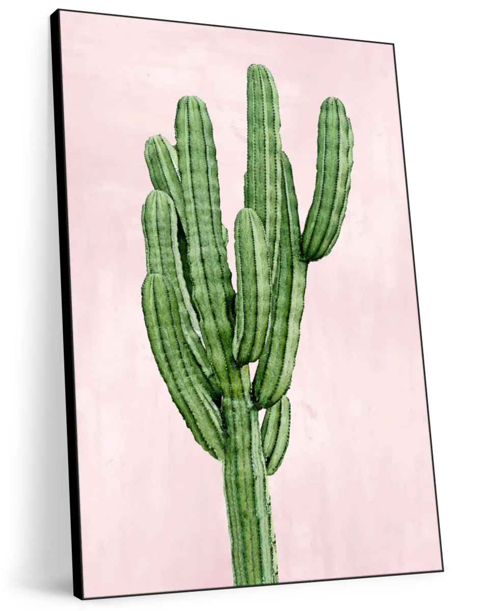 A Cactus On Pink I Wall Art