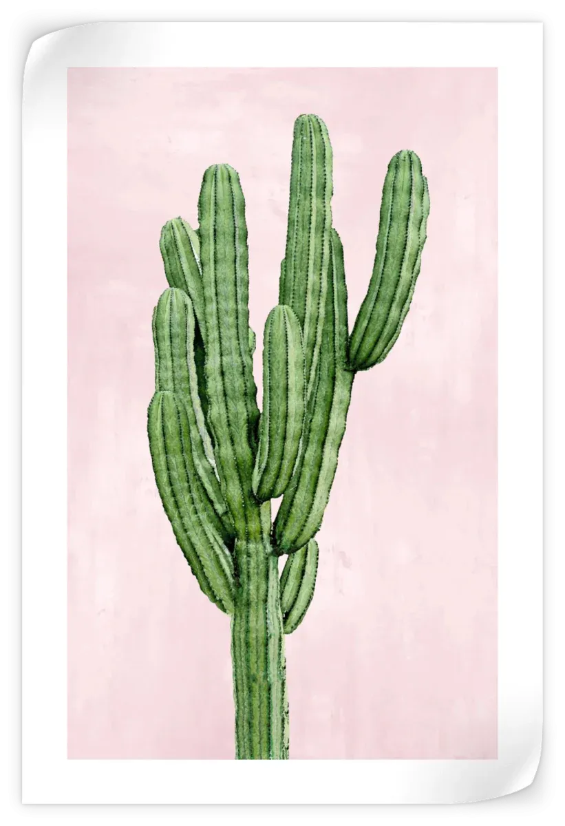 A Cactus On Pink I Wall Art