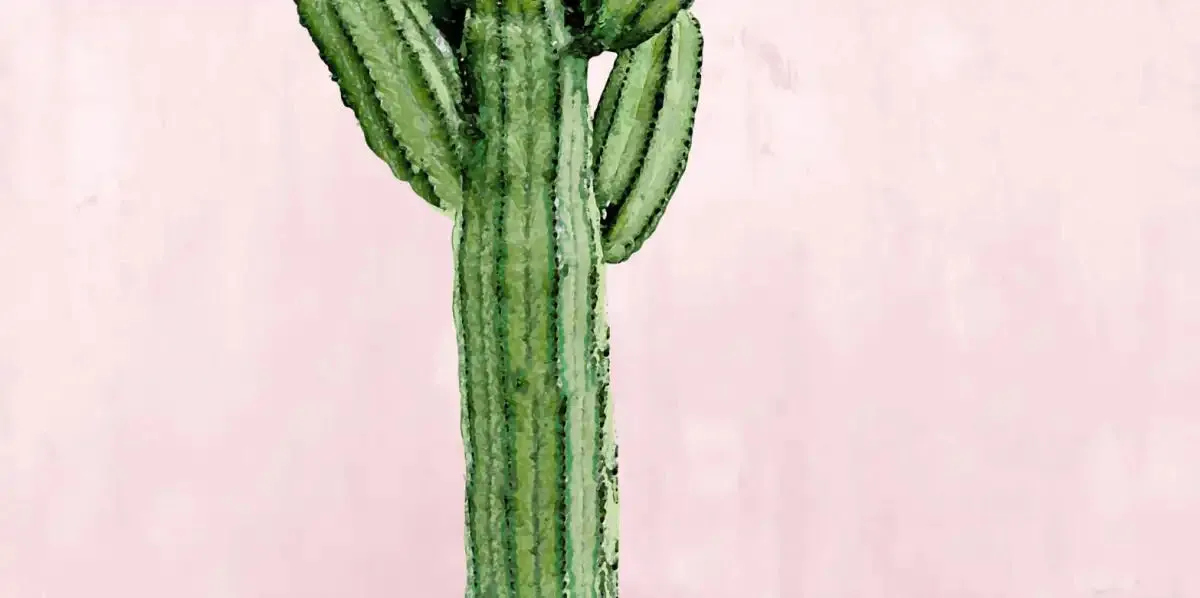 A Cactus On Pink I Wall Art