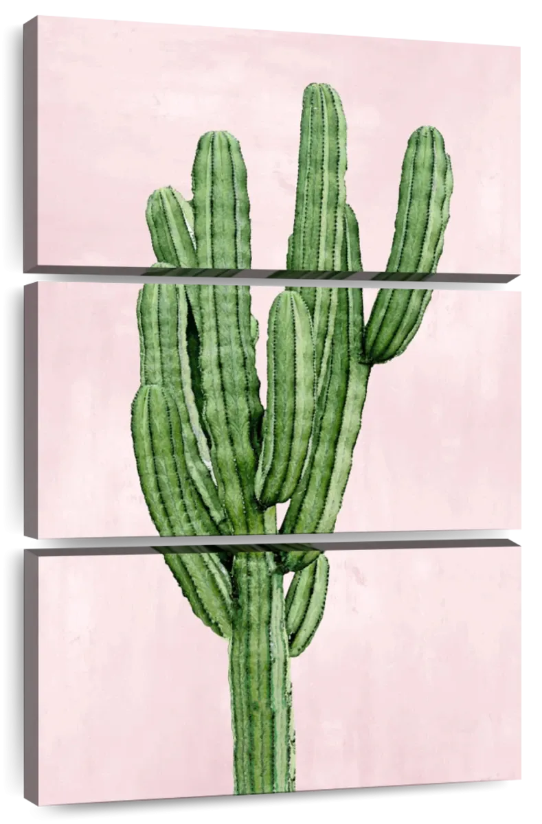 A Cactus On Pink I Wall Art