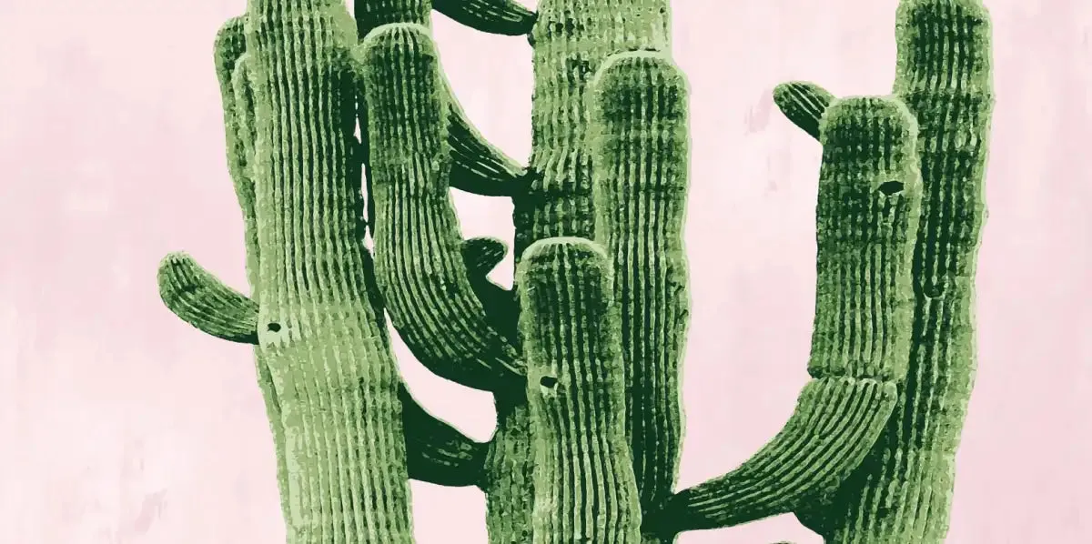 A Cactus On Pink II Wall Art