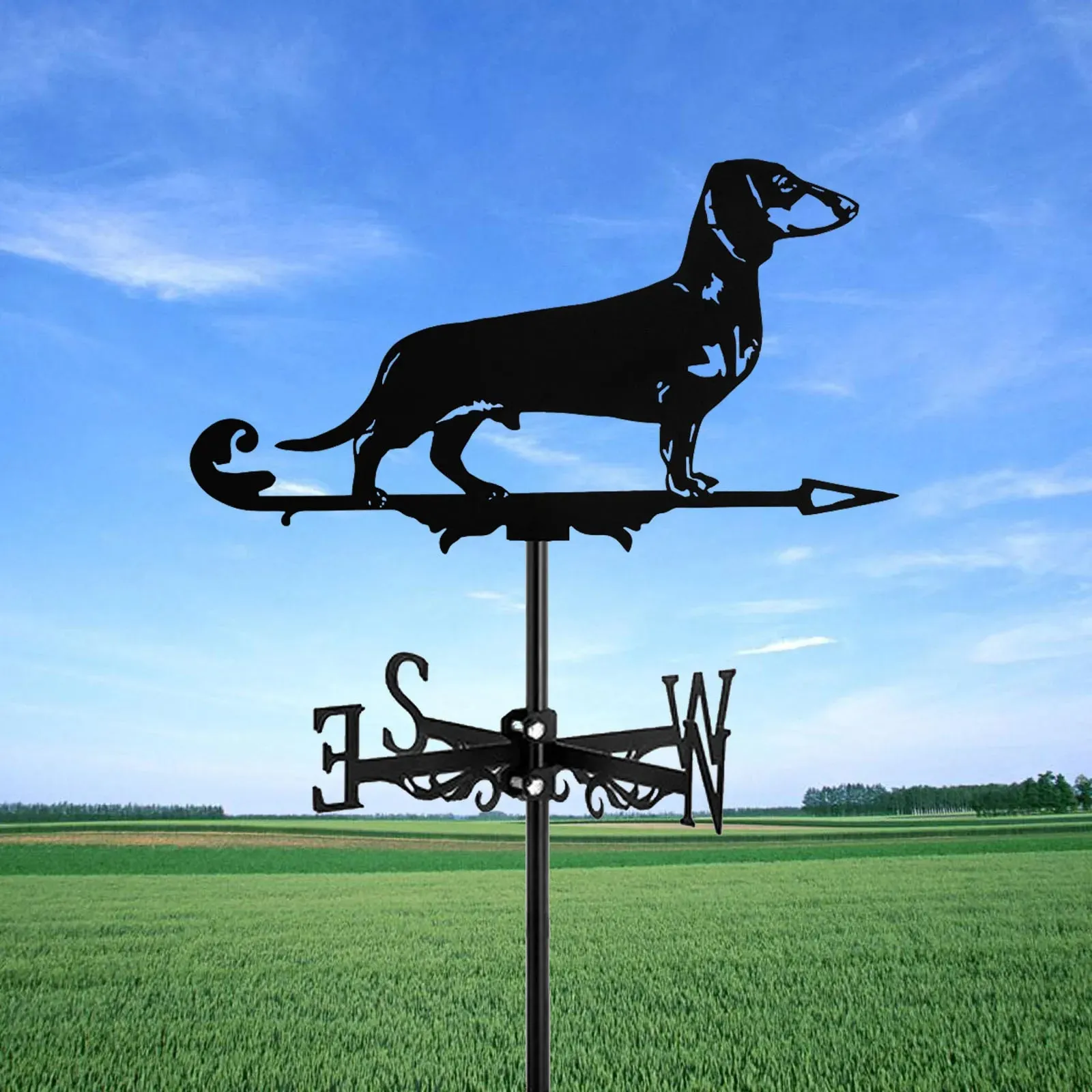 Elegant Dachshund Weather Vane for Weather Tracking