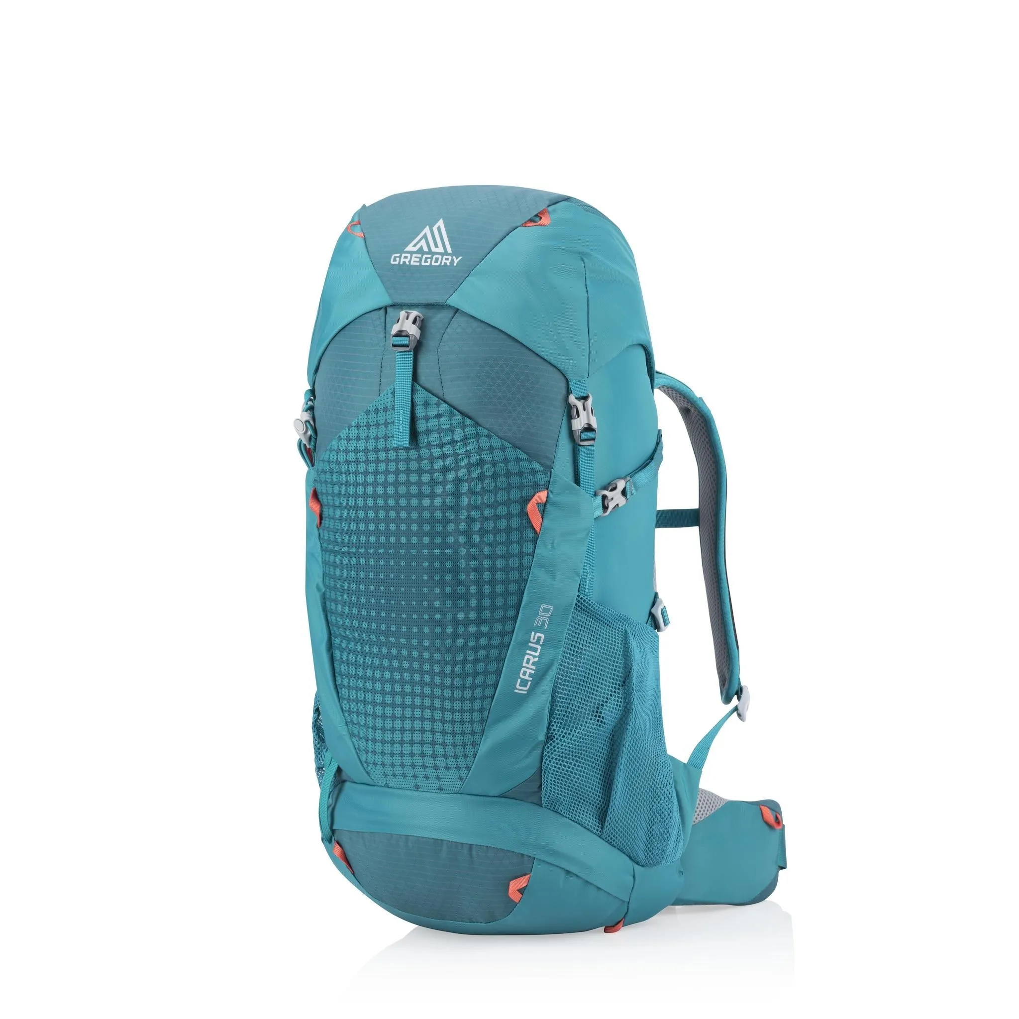 Gregory Icarus 30 Backpack