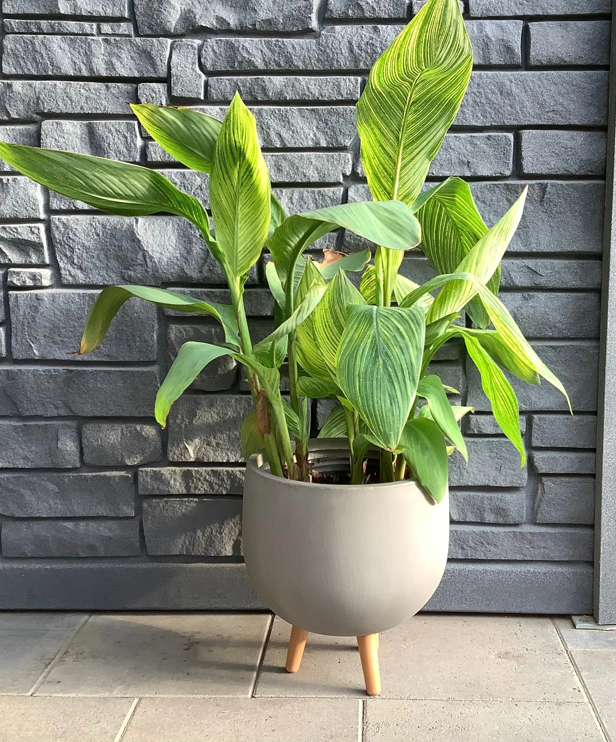 Monica Planter Pot with Legs - Brown