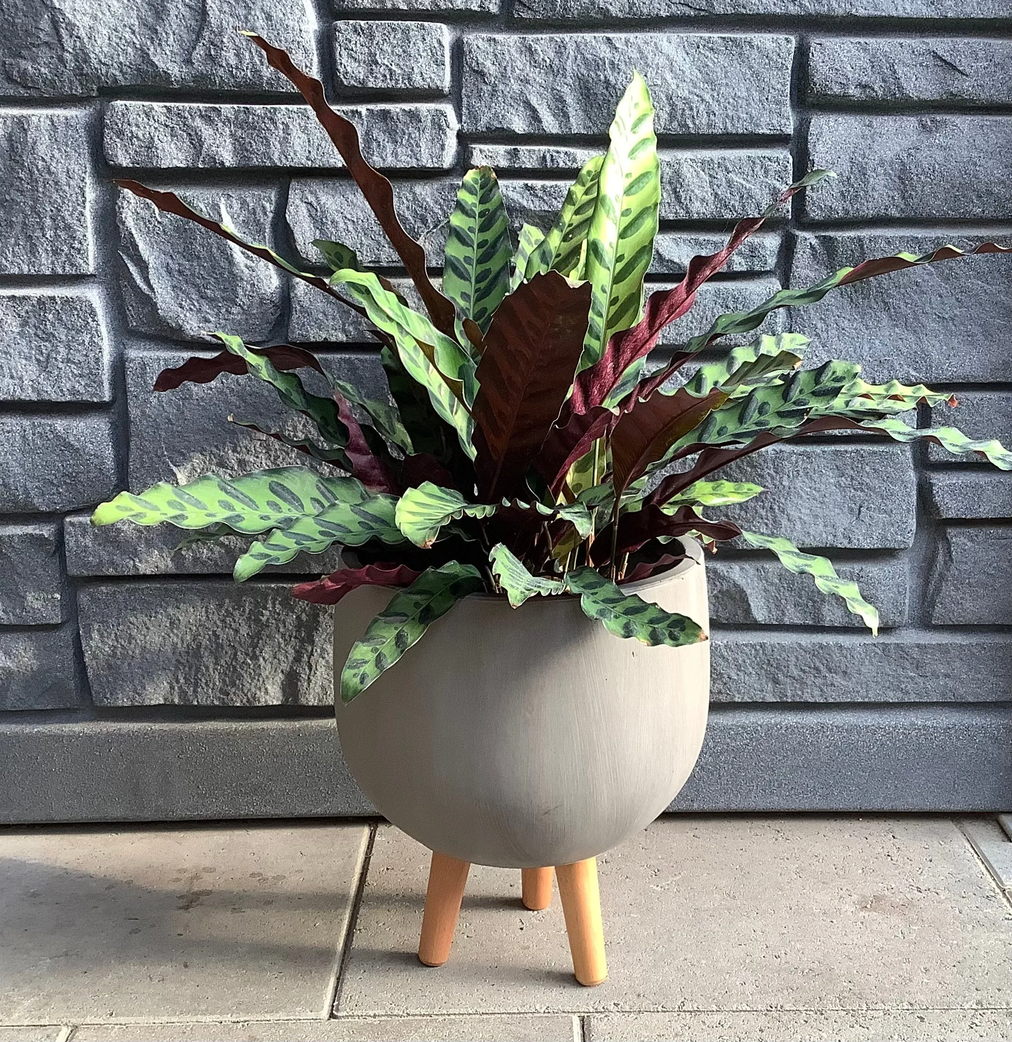 Monica Planter Pot with Legs - Brown