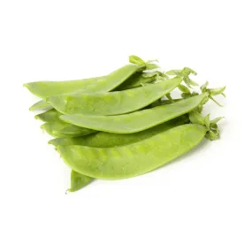 Snow Pea Avalanche Seeds | West Coast Seeds