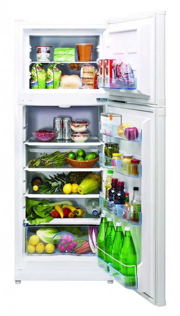 UNIQUE 10.3 CU/FT 12/24V DC Solar Fridge with Freezer